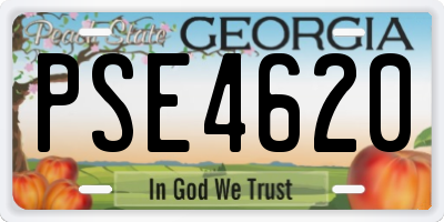 GA license plate PSE4620