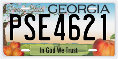 GA license plate PSE4621