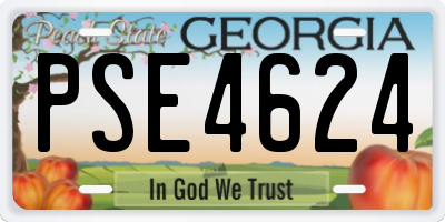 GA license plate PSE4624