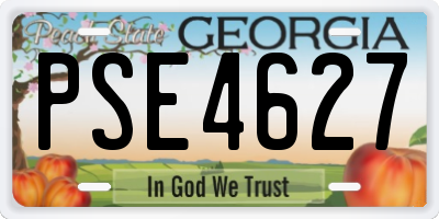 GA license plate PSE4627