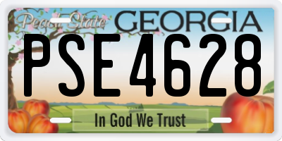 GA license plate PSE4628