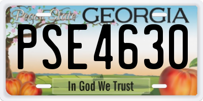 GA license plate PSE4630