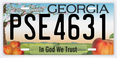 GA license plate PSE4631