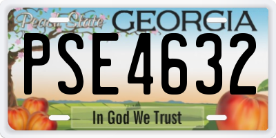 GA license plate PSE4632