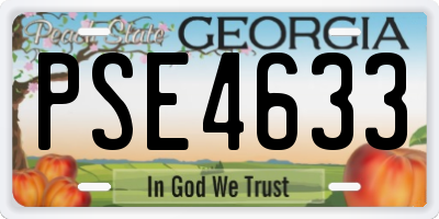 GA license plate PSE4633