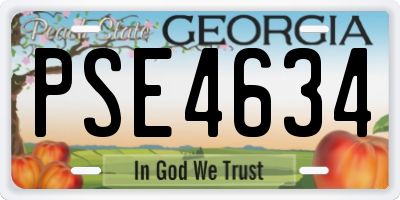 GA license plate PSE4634