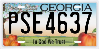 GA license plate PSE4637