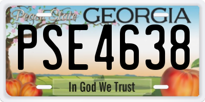 GA license plate PSE4638