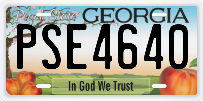 GA license plate PSE4640
