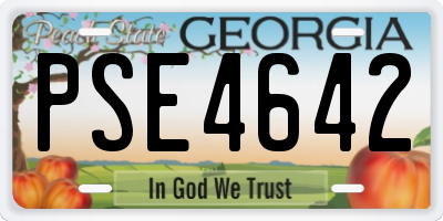 GA license plate PSE4642