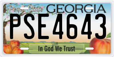 GA license plate PSE4643