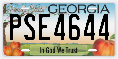GA license plate PSE4644