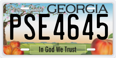 GA license plate PSE4645
