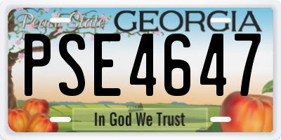 GA license plate PSE4647