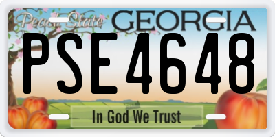 GA license plate PSE4648