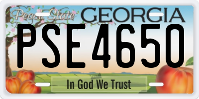 GA license plate PSE4650
