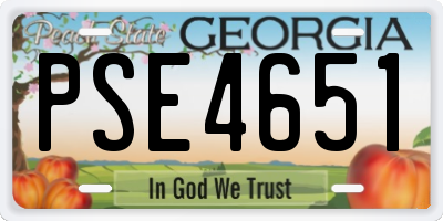 GA license plate PSE4651