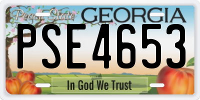 GA license plate PSE4653