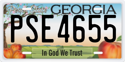 GA license plate PSE4655