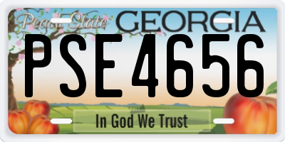 GA license plate PSE4656