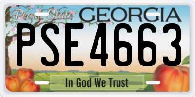 GA license plate PSE4663