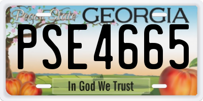 GA license plate PSE4665