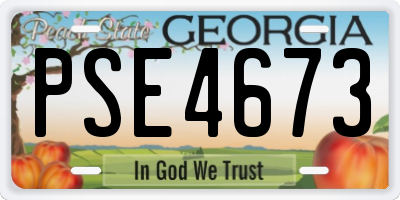GA license plate PSE4673