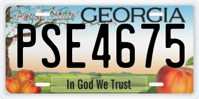 GA license plate PSE4675