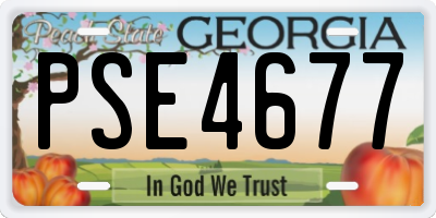 GA license plate PSE4677