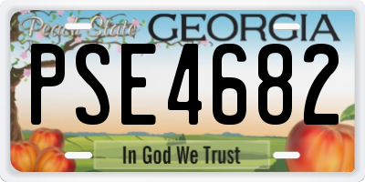 GA license plate PSE4682