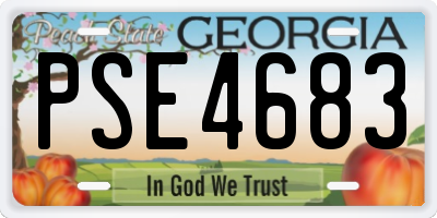 GA license plate PSE4683