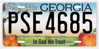 GA license plate PSE4685