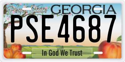 GA license plate PSE4687
