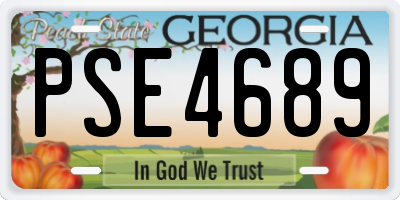 GA license plate PSE4689