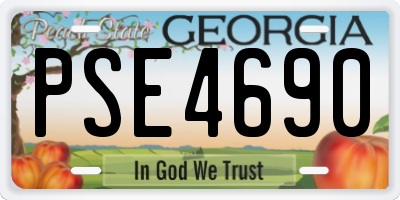 GA license plate PSE4690