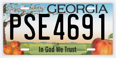 GA license plate PSE4691