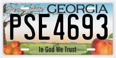 GA license plate PSE4693
