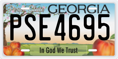 GA license plate PSE4695