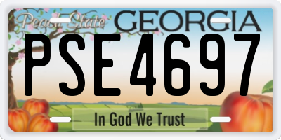 GA license plate PSE4697