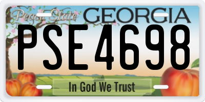 GA license plate PSE4698