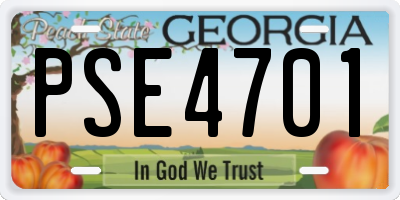 GA license plate PSE4701