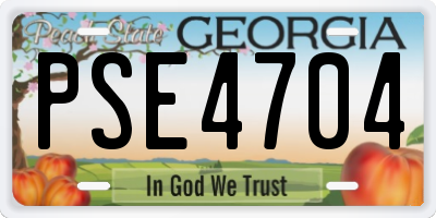 GA license plate PSE4704