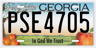GA license plate PSE4705