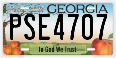 GA license plate PSE4707