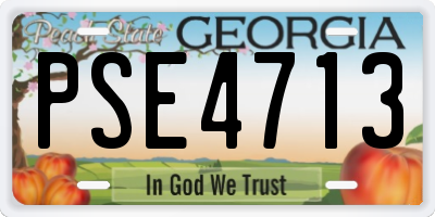 GA license plate PSE4713