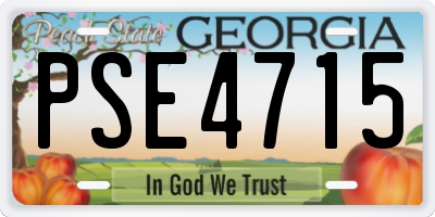 GA license plate PSE4715
