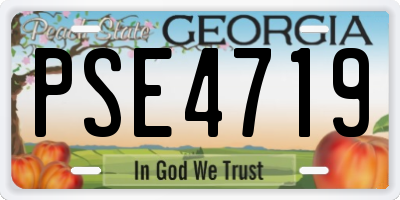GA license plate PSE4719