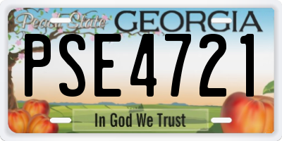 GA license plate PSE4721
