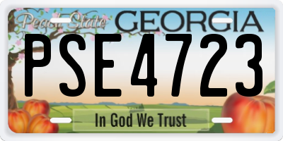 GA license plate PSE4723