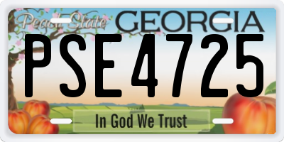 GA license plate PSE4725